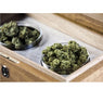 CANNASEUR ONE CANNABIS HUMIDOR